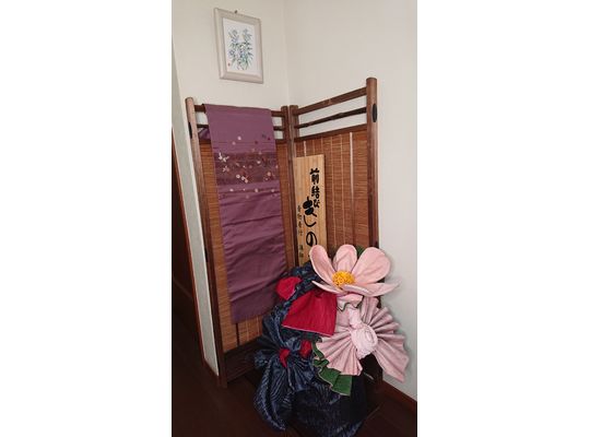 コスモスの華やぎ