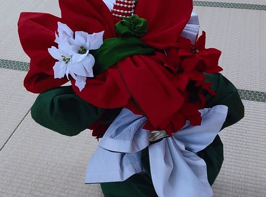 ぽんぽんポインセチア