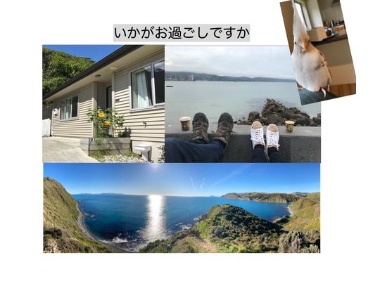 ウエリントン